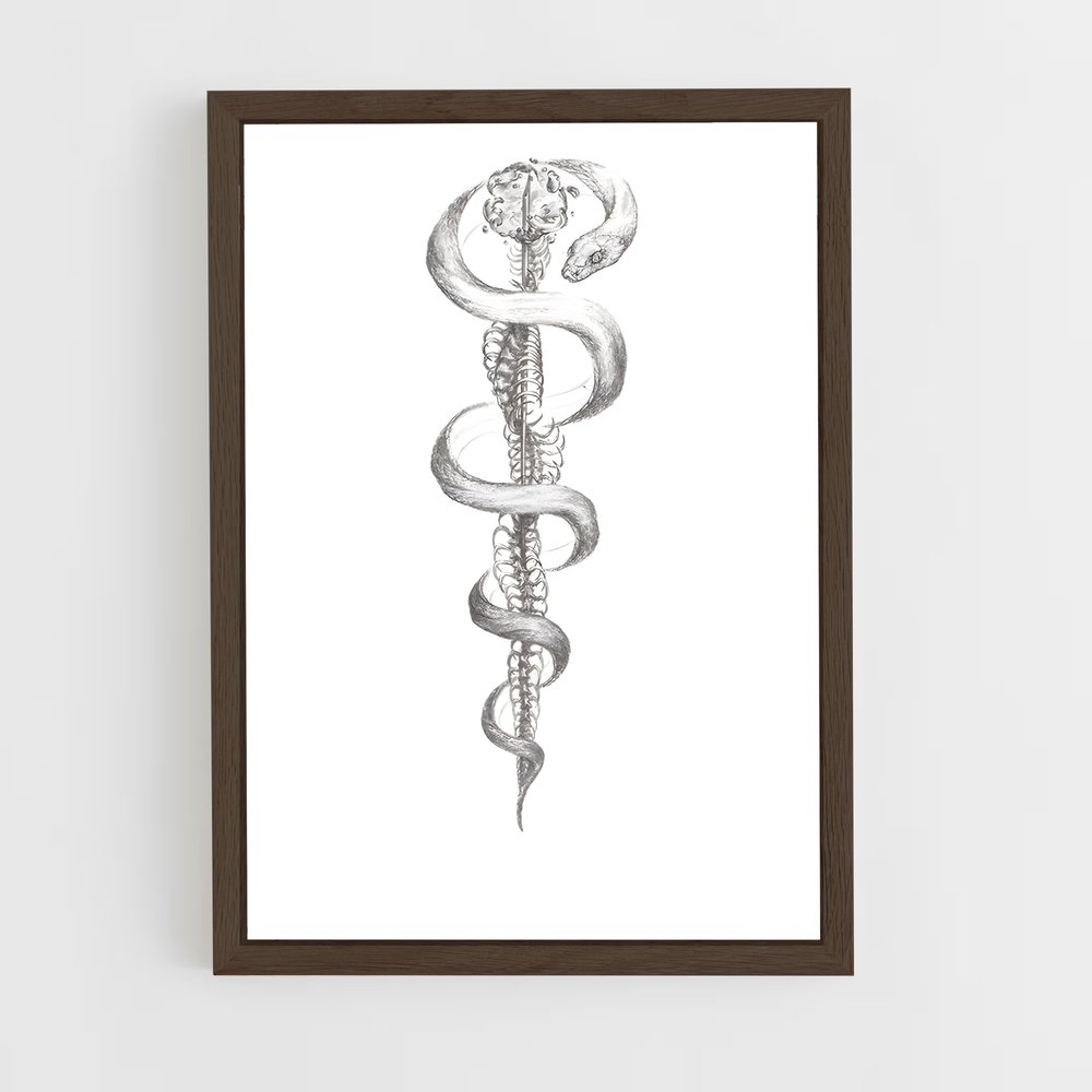 ap-rod of asclepius-2 cadre Bois foncé