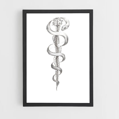 ap-rod of asclepius-2 cadre Noir
