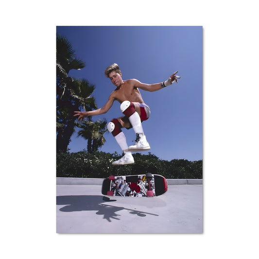 Poster Rodney mullen 68129