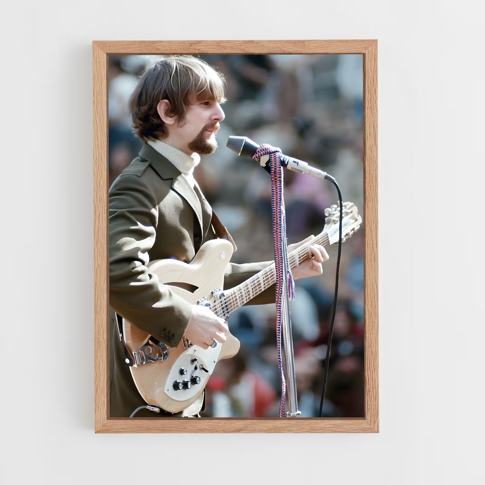 ap-roger mcguinn-2 cadre Bois clair