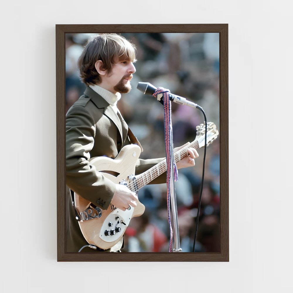 ap-roger mcguinn-2 cadre Bois foncé