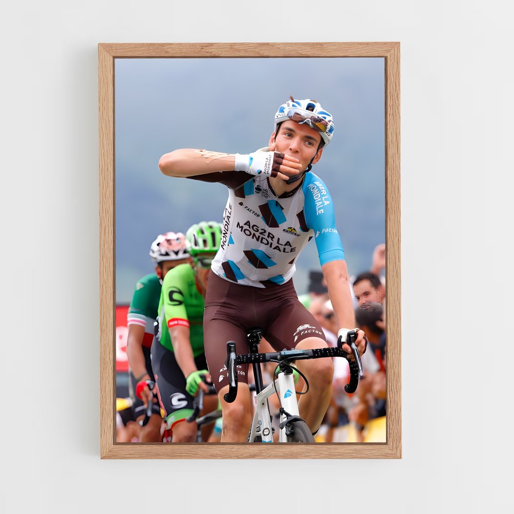 ap-romain bardet-4 cadre Bois clair