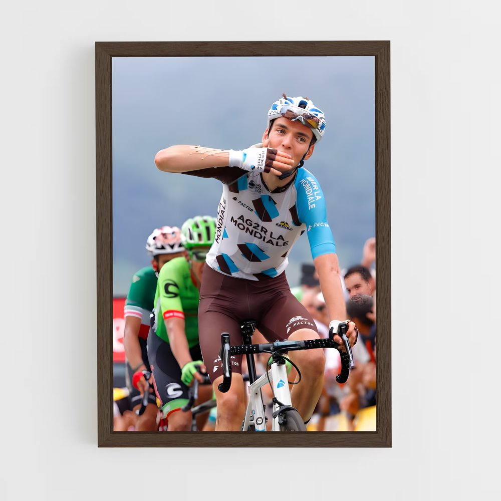 ap-romain bardet-4 cadre Bois foncé
