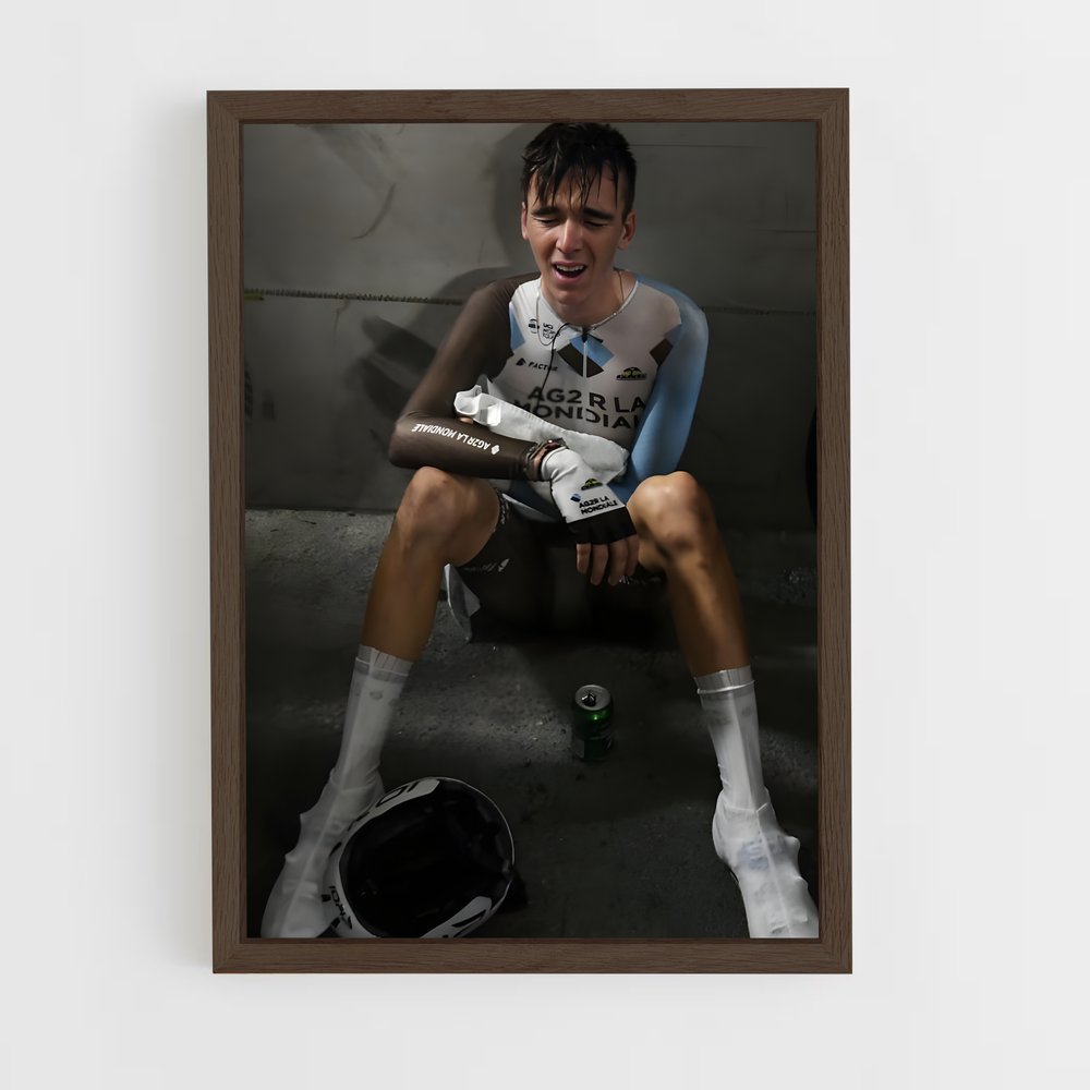 ap-romain bardet-6 cadre Bois foncé