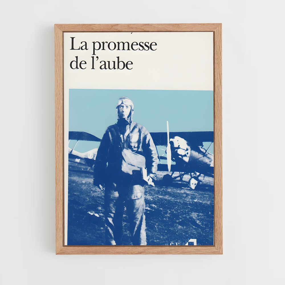 ap-romain gary-3 cadre Bois clair
