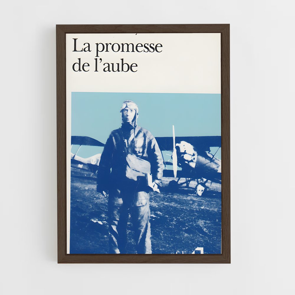 ap-romain gary-3 cadre Bois foncé