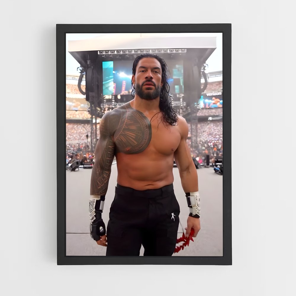 ap-roman reigns-1 cadre Noir