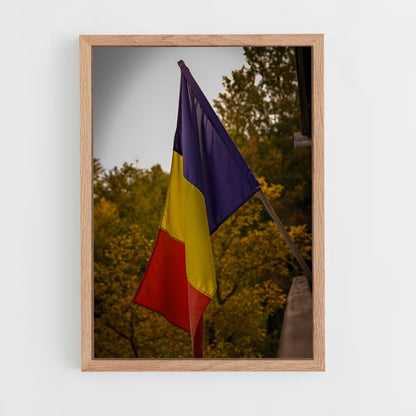ap-romania flag-1 cadre Bois clair