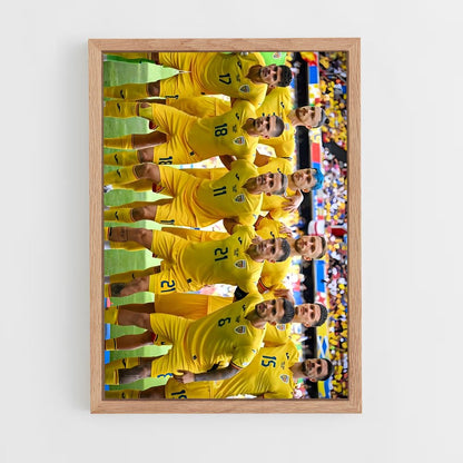 ap-romania national football team-2 cadre Bois clair