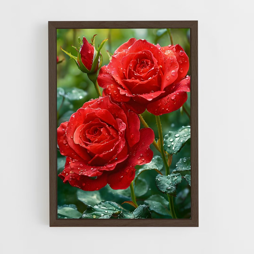 ap-rose-11 cadre Bois foncé