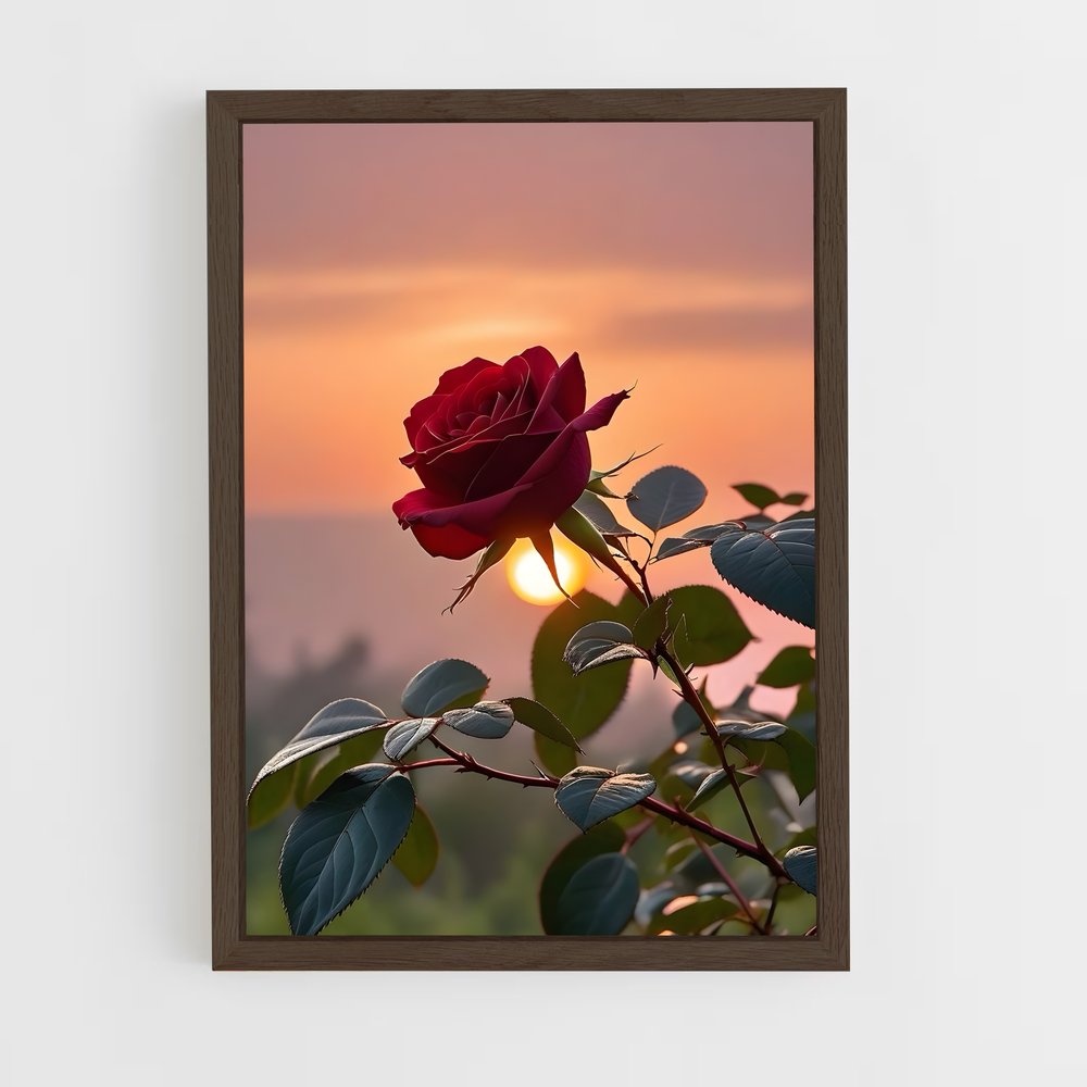 ap-rose-12 cadre Bois foncé