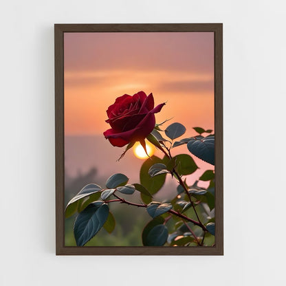 ap-rose-12 cadre Bois foncé