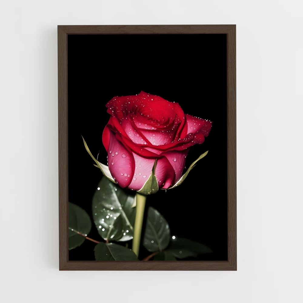 ap-rose-17 cadre Bois foncé