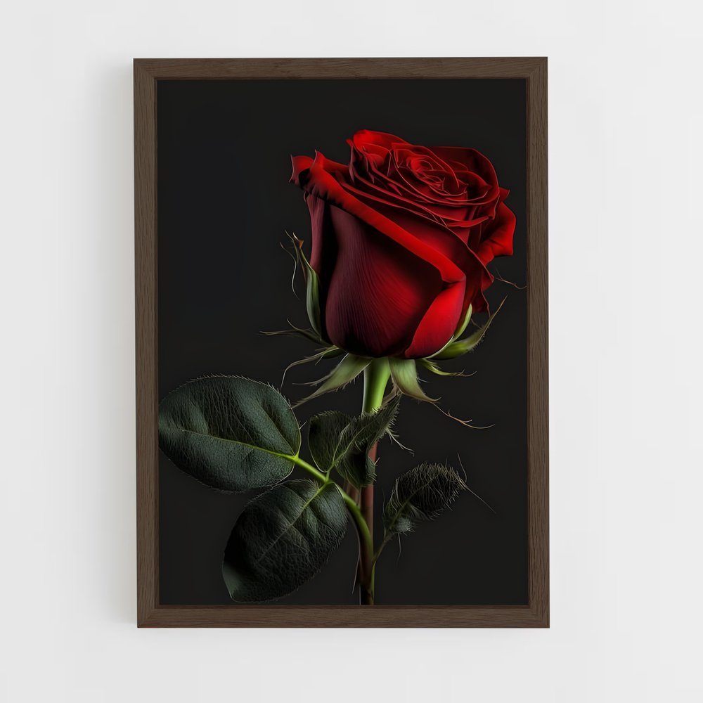 ap-rose-23 cadre Bois foncé