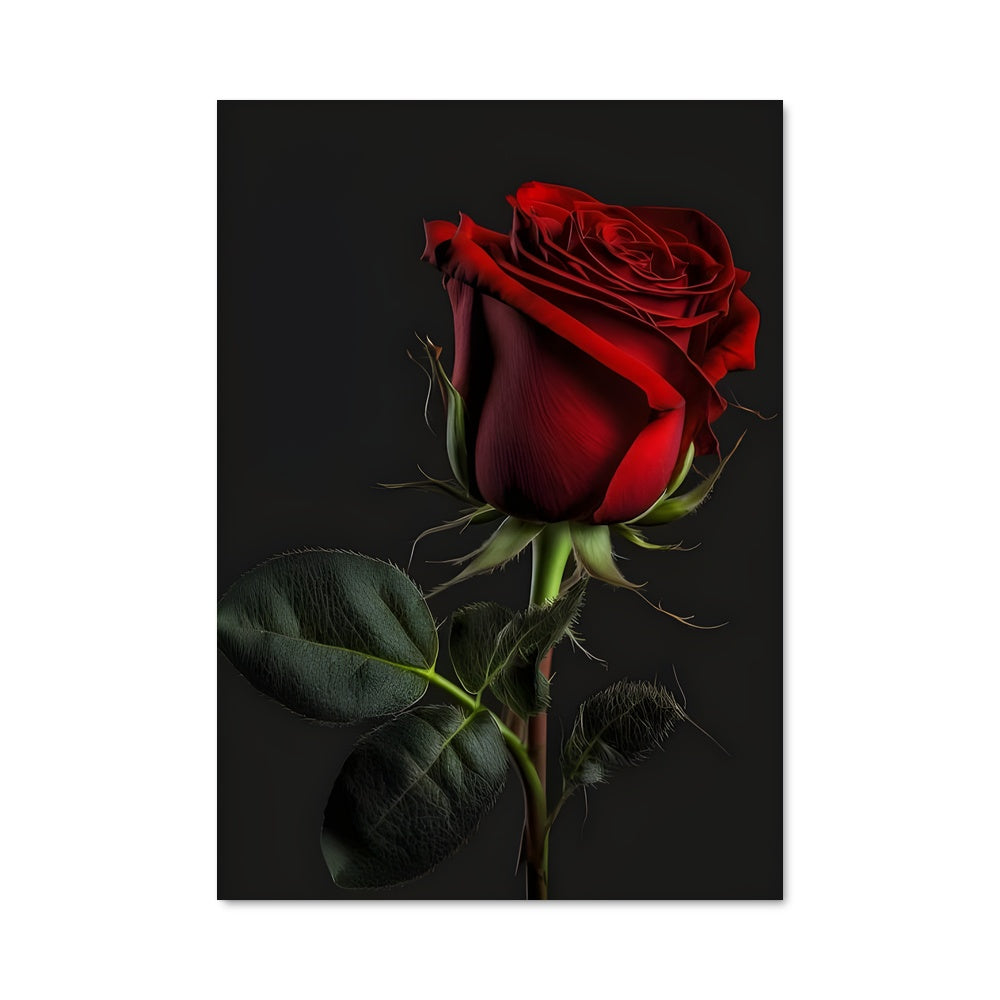 Rose Poster – Aesthetic Posters