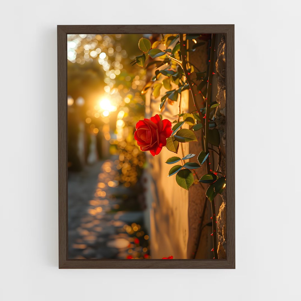ap-rose-25 cadre Bois foncé