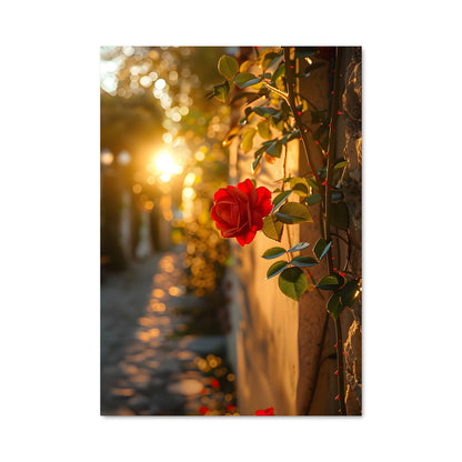 Poster Mur de Roses