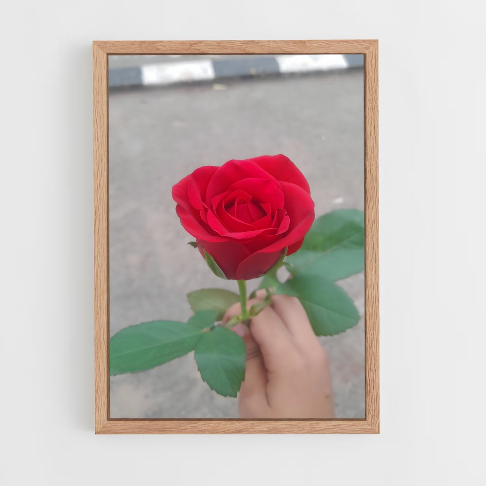 ap-rose-26 cadre Bois clair