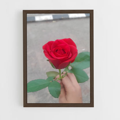 ap-rose-26 cadre Bois foncé