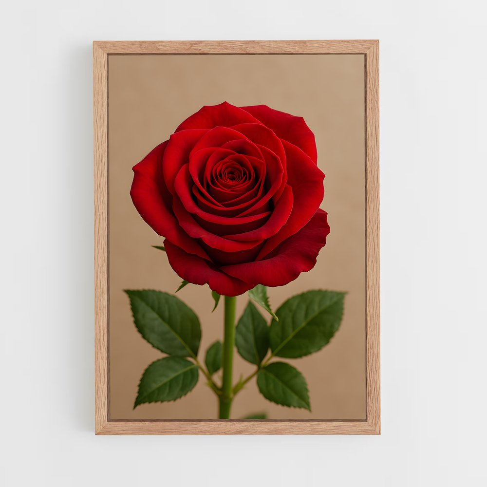 ap-rose-27 cadre Bois clair