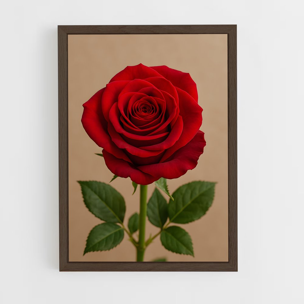 ap-rose-27 cadre Bois foncé
