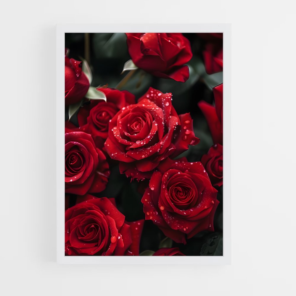 ap-rose-29 cadre Blanc