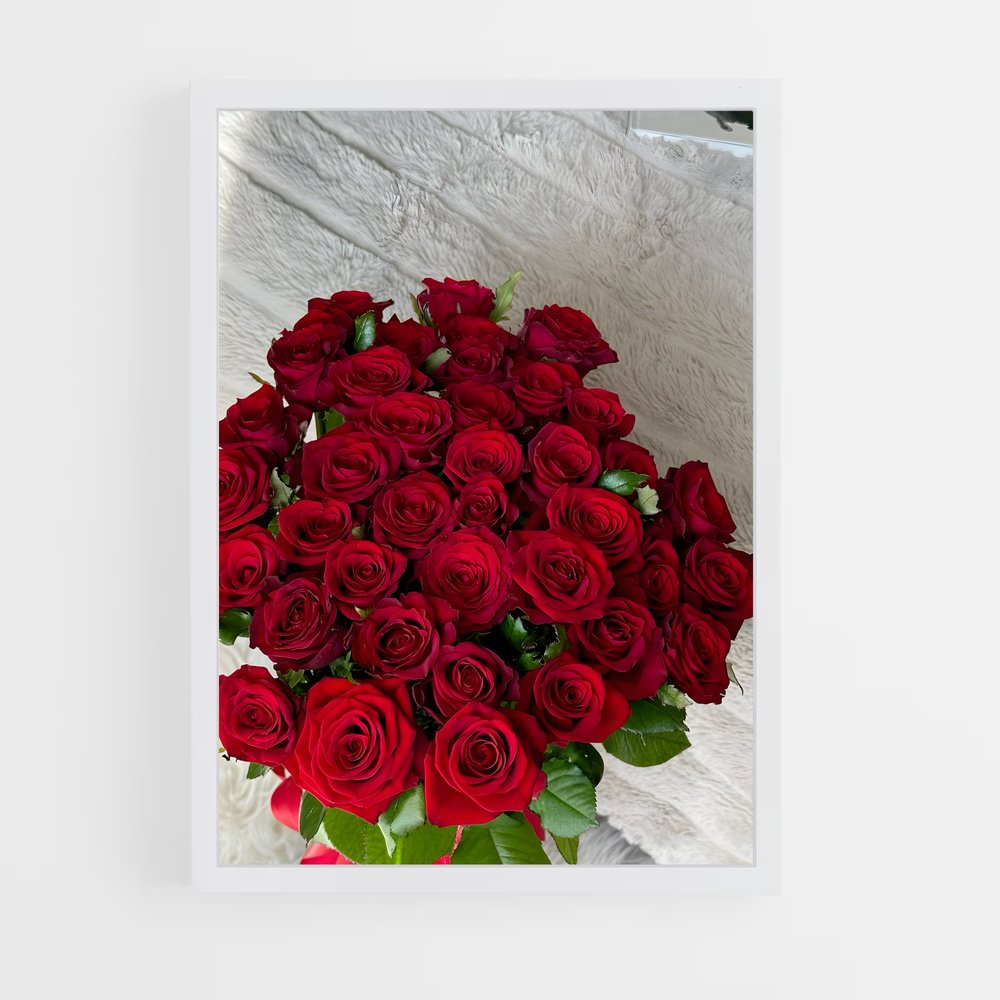 ap-rose-31 cadre Blanc
