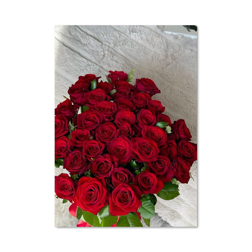Poster Rose 96729