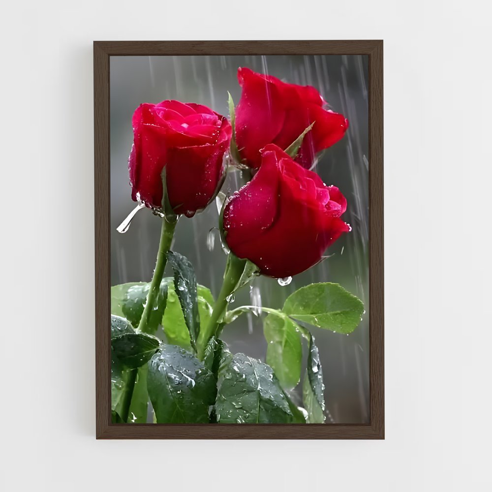 ap-rose-32 cadre Bois foncé