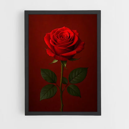 ap-rose-34 cadre Noir