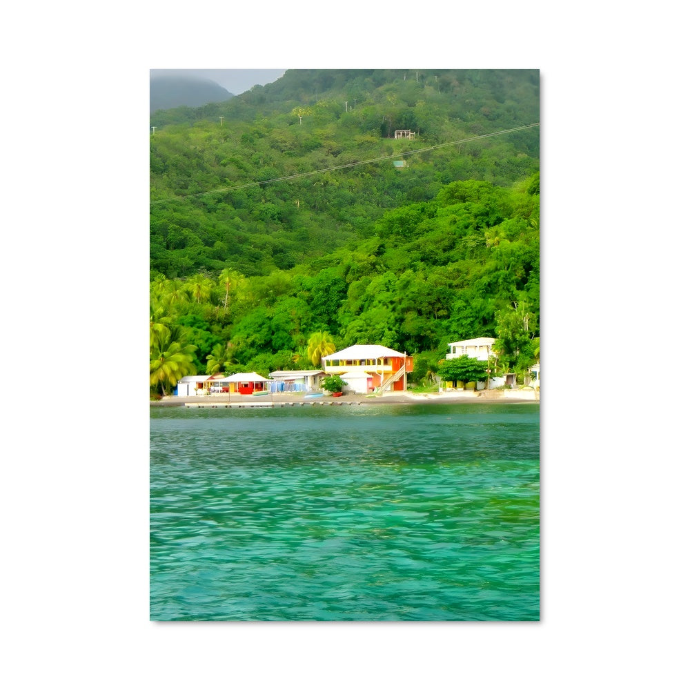 Poster Roseau 92767