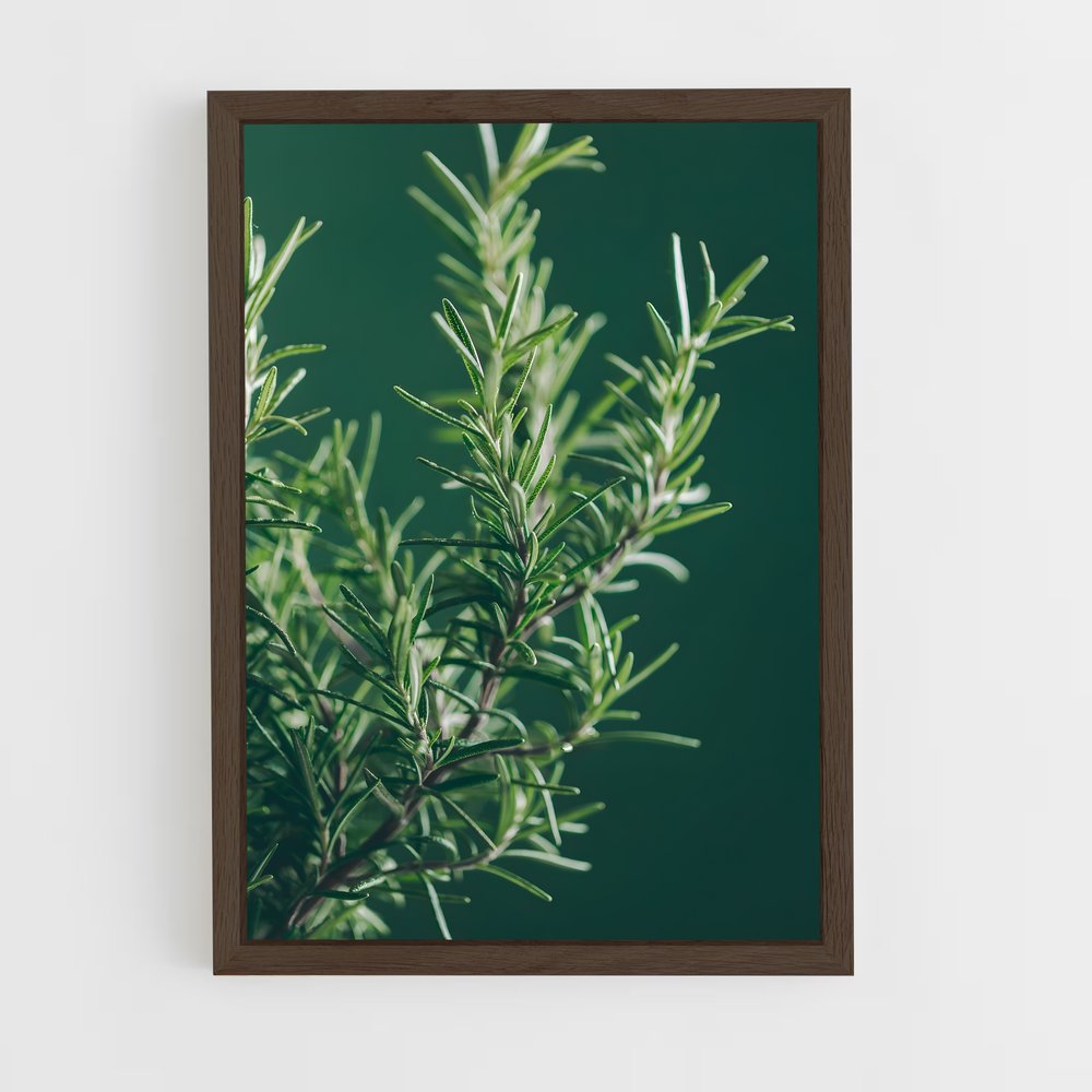 ap-rosemary-1 cadre Bois foncé