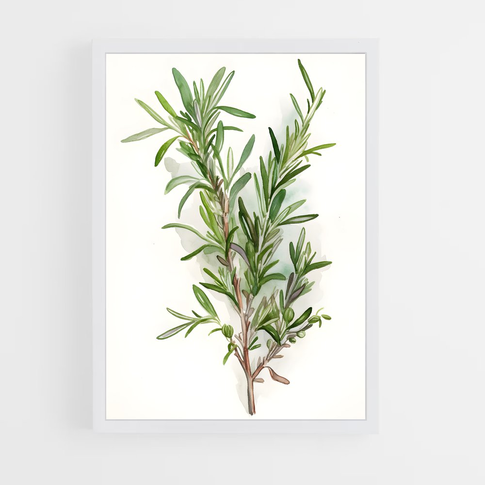 ap-rosemary-3 cadre Blanc