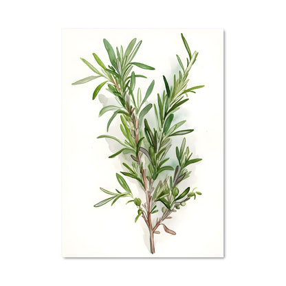 Poster L'Olive Enchantée