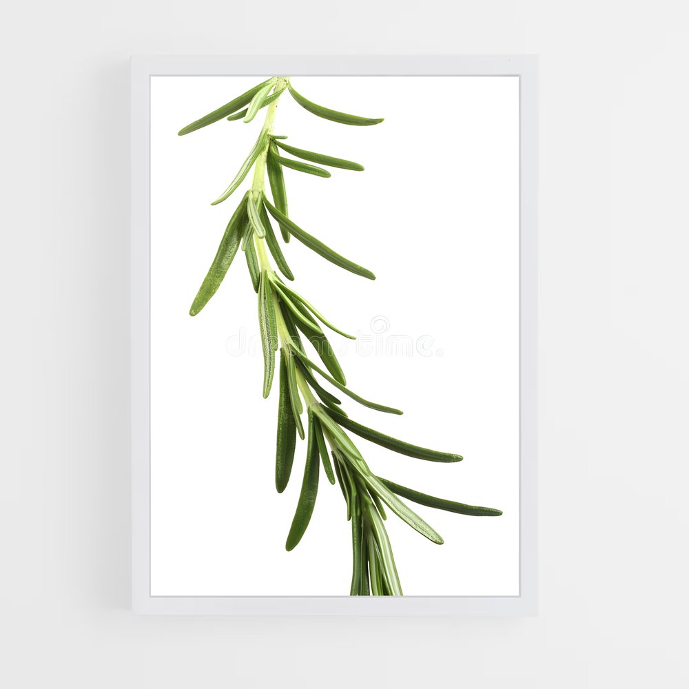 ap-rosemary-5 cadre Blanc