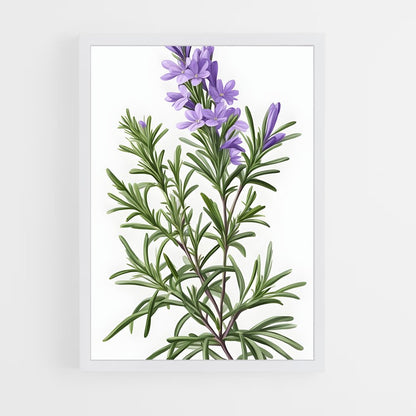 ap-rosemary-6 cadre Blanc