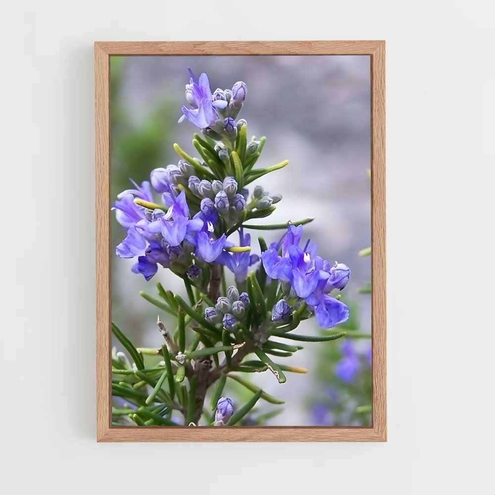 ap-rosemary-7 cadre Bois clair