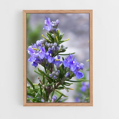ap-rosemary-7 cadre Bois clair