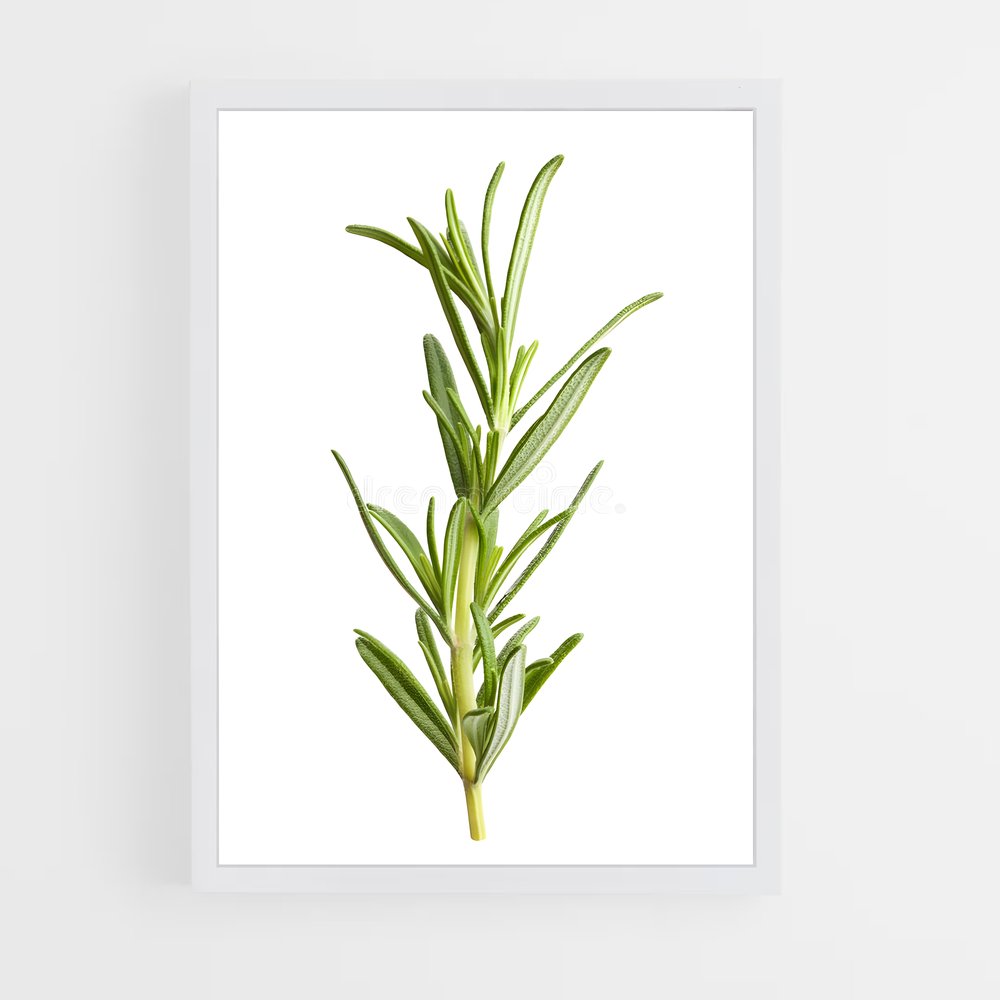 ap-rosemary-8 cadre Blanc