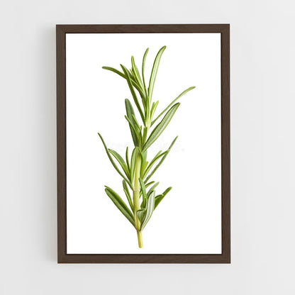 ap-rosemary-8 cadre Bois foncé