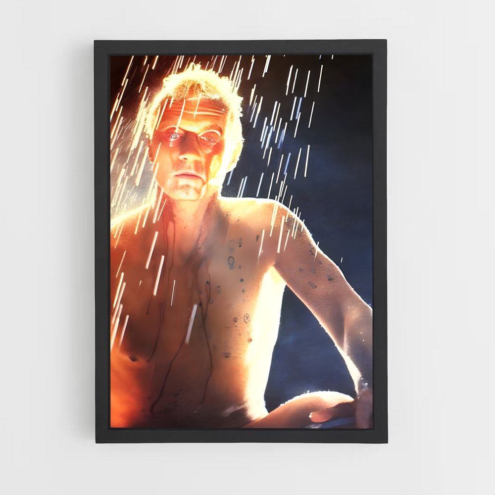 ap-roy batty-8 cadre Noir