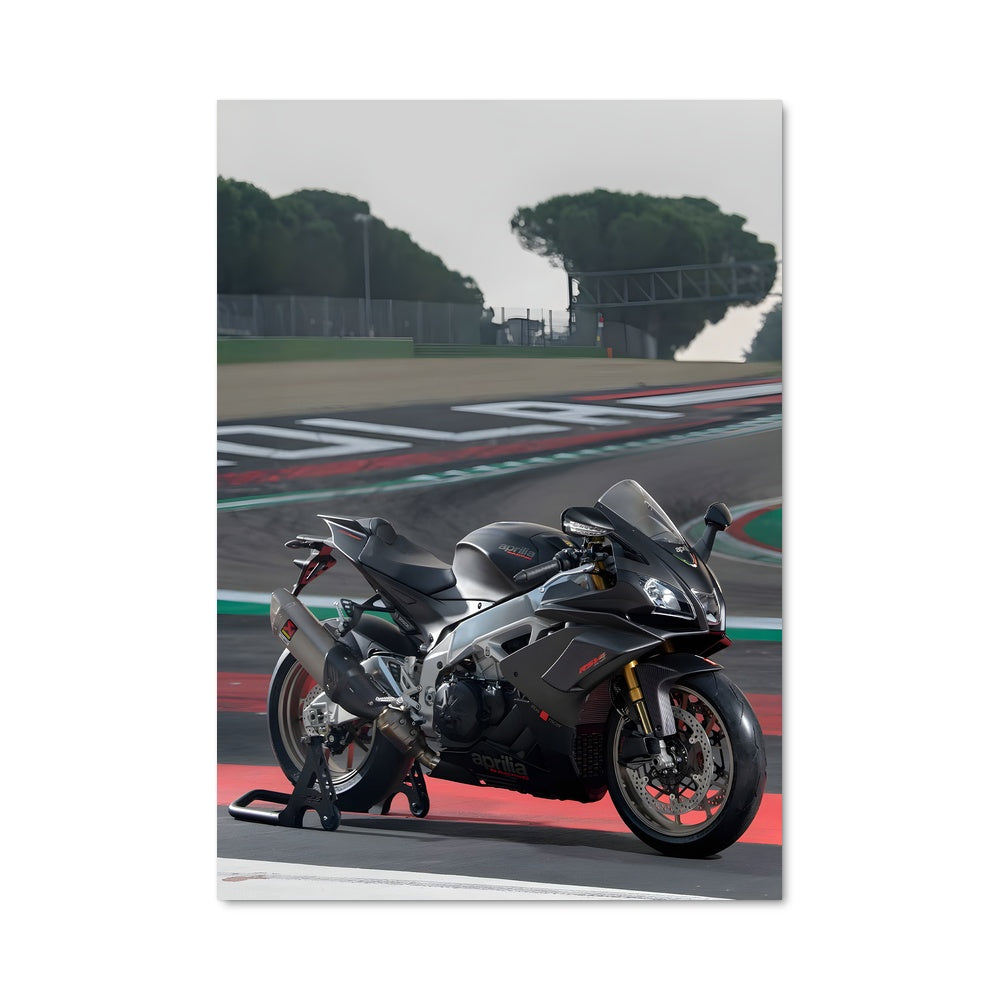 Poster Rsv4 factory 81817