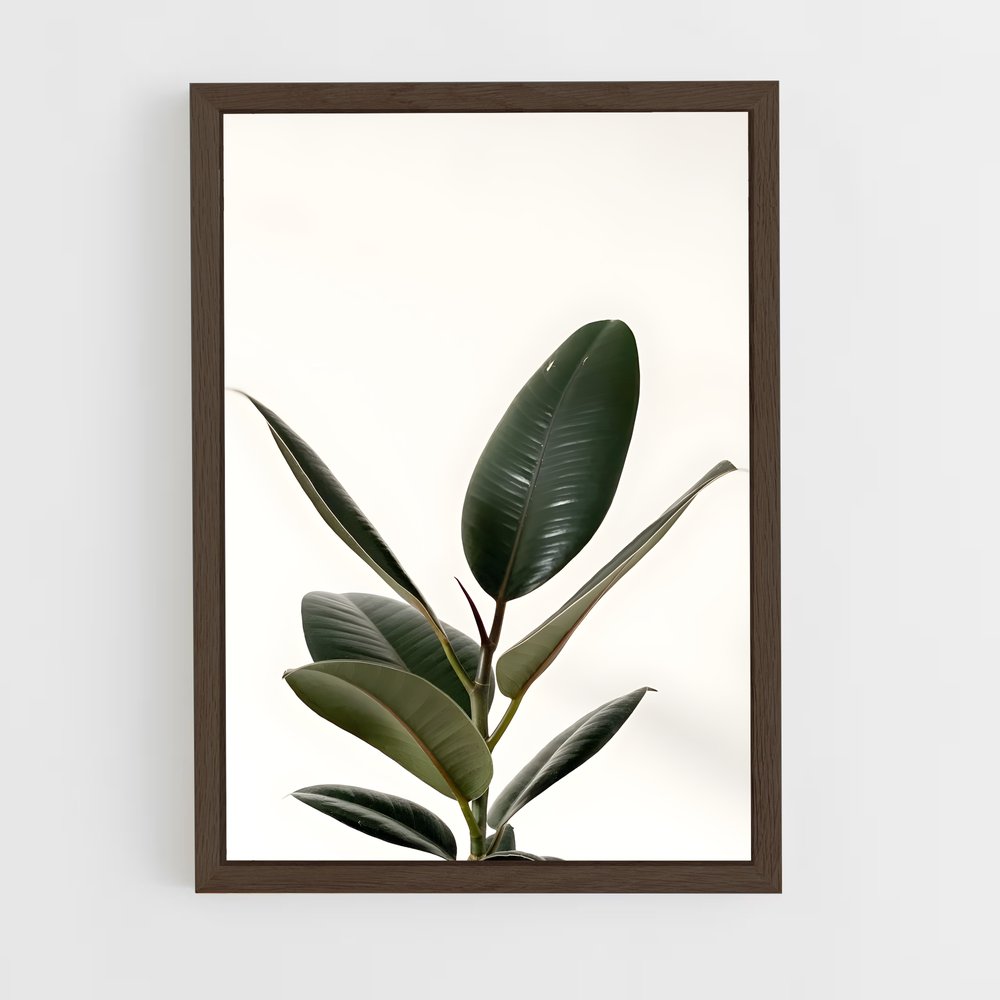 ap-rubber plant-1 cadre Bois foncé