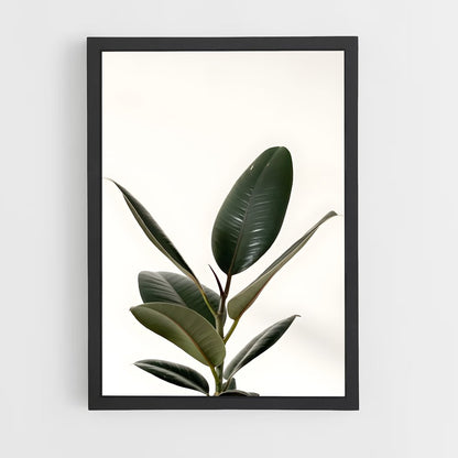 ap-rubber plant-1 cadre Noir
