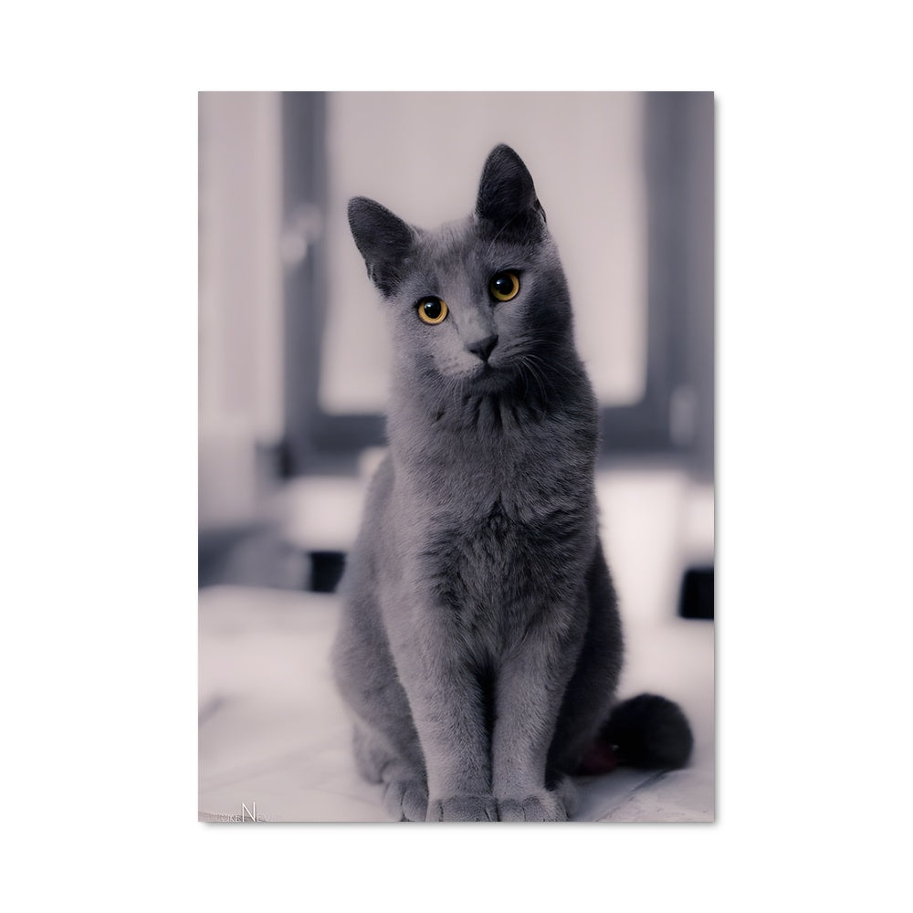 Poster Chat de Nuit