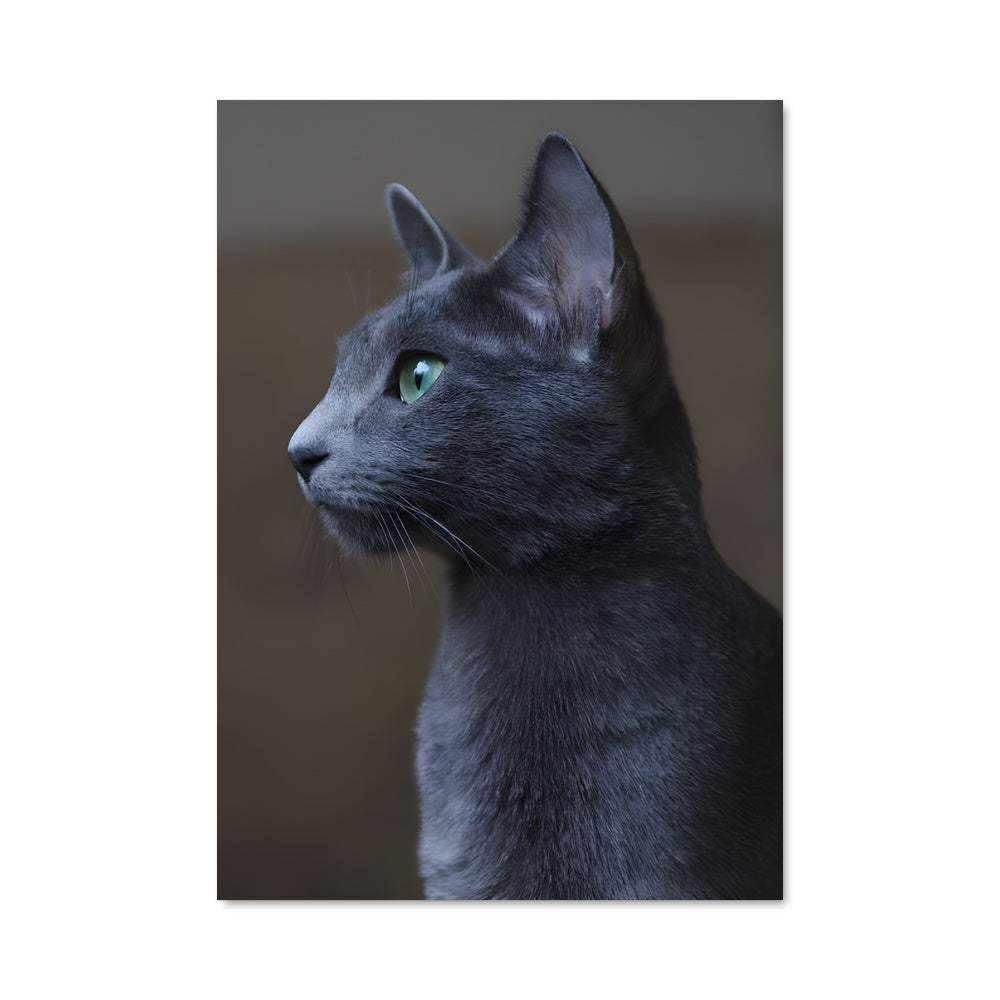 Poster Chat de Luxe