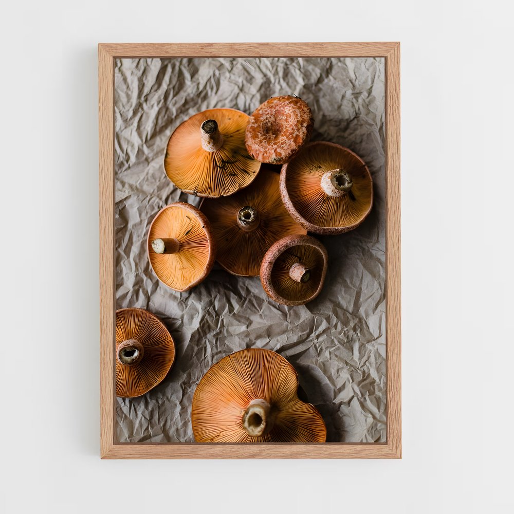 ap-saffron milk cap-1 cadre Bois clair