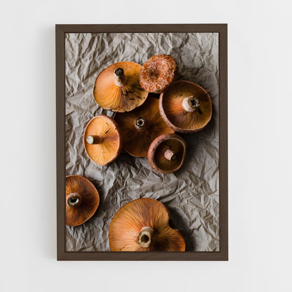 ap-saffron milk cap-1 cadre Bois foncé