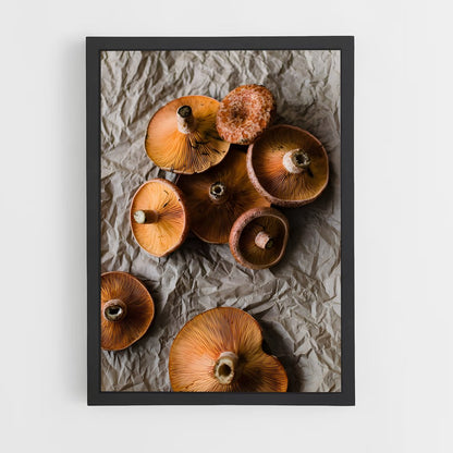 ap-saffron milk cap-1 cadre Noir