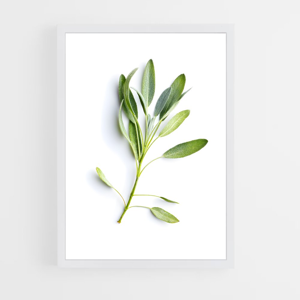 ap-sage-10 cadre Blanc